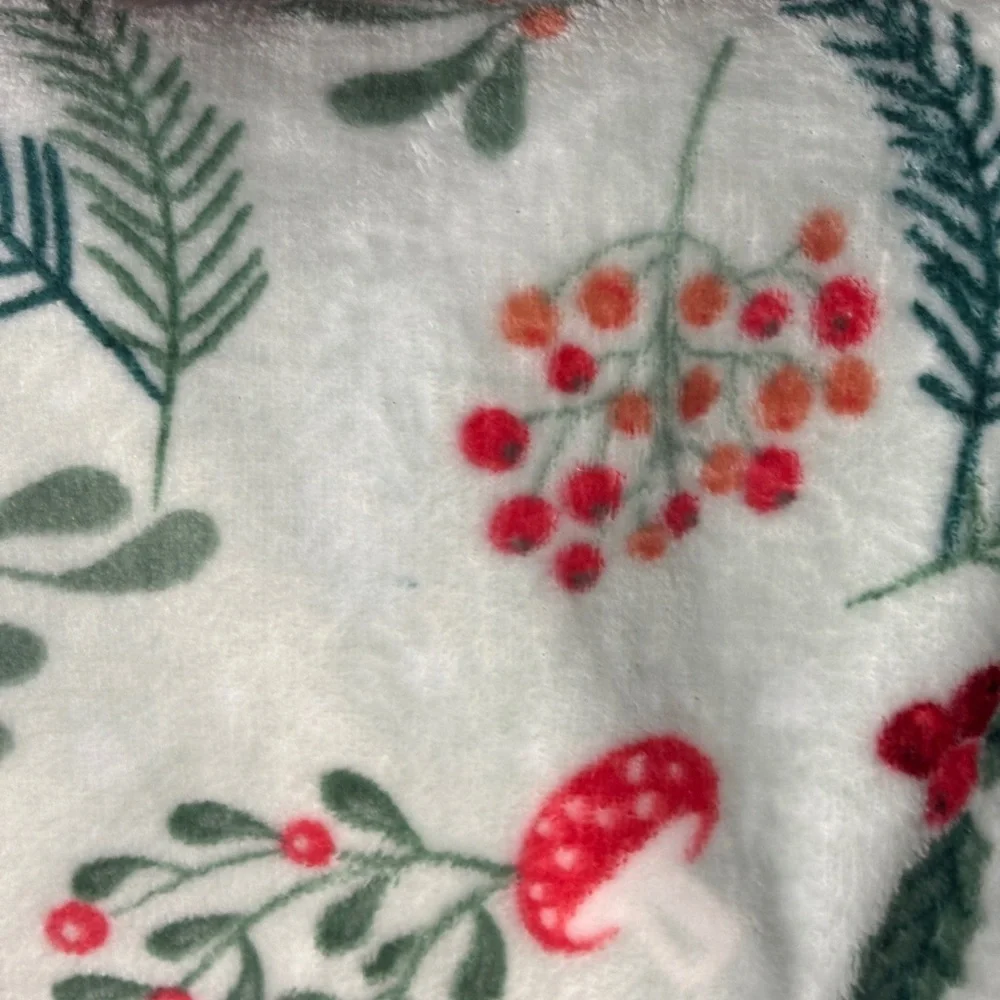 Holiday Time Festive Velvet Plush Throw - Red and Green